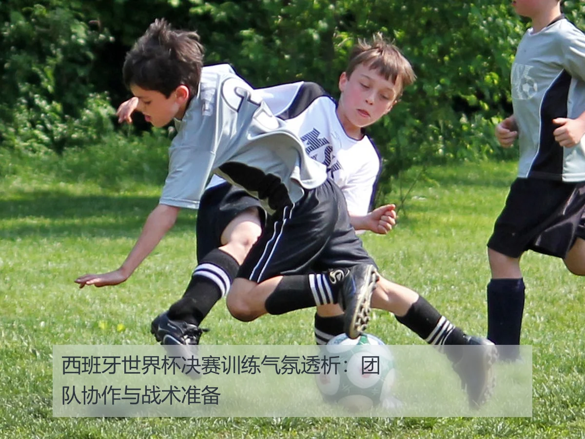 西班牙世界杯决赛训练气氛透析:团队协作与战术准备